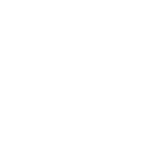 logo belek records